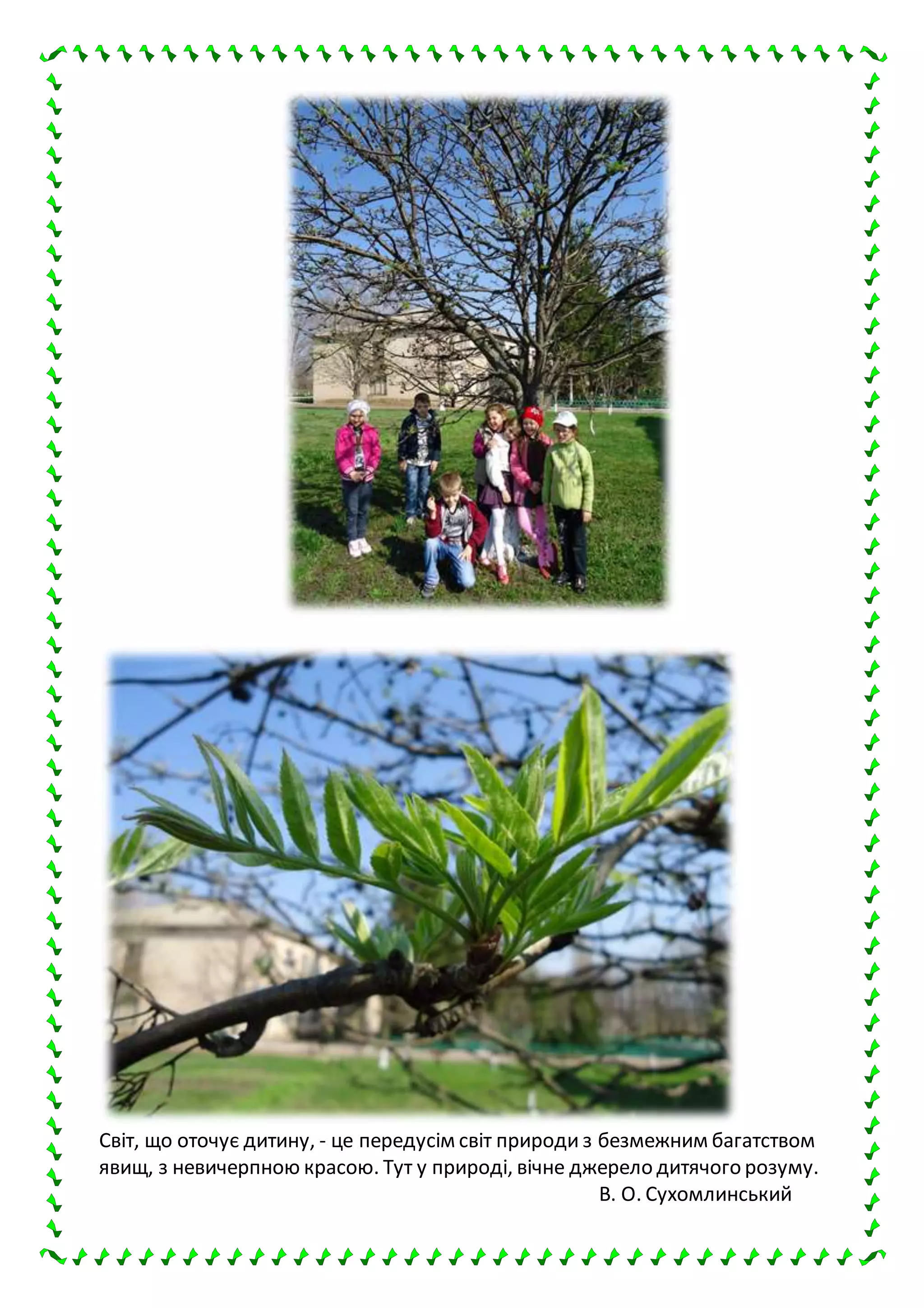 Світ, що оточує дитину, - це передусім світ природи з безмежним багатством
явищ, з невичерпною красою. Тут у природі, вічне джерело дитячого розуму.
В. О. Сухомлинський
 