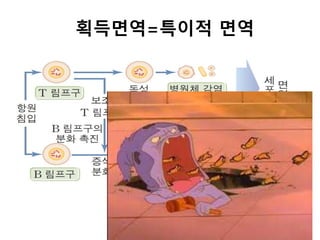 획득면역=특이적 면역
 