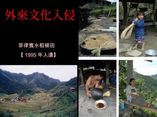外來文化入侵
菲律賓水稻梯田
【 1995 年入遺】
 