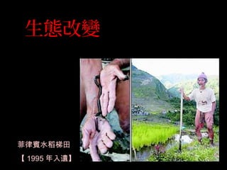 生態改變
菲律賓水稻梯田
【 1995 年入遺】
 
