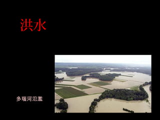 洪水
多瑙河氾濫
 