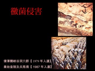 黴菌侵害
偉澤爾峽谷洞穴群【 1979 年入遺】
秦始皇陵及兵馬俑【 1987 年入遺】
 