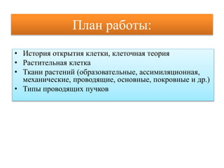 План работы:
• История открытия клетки, клеточная теория
• Растительная клетка
• Ткани растений (образовательные, ассимиляционная,
механические, проводящие, основные, покровные и др.)
• Типы проводящих пучков
 