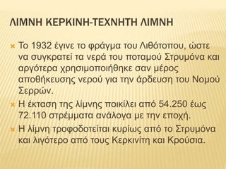 ΛΙΜΝΗ ΚΕΡΚΙΝΗ-ΤΕΧΝΗΤΗ ΛΙΜΝΗ
 Το 1932 έγινε το φράγμα του Λιθότοπου, ώστε
να συγκρατεί τα νερά του ποταμού Στρυμόνα και
αργότερα χρησιμοποιήθηκε σαν μέρος
αποθήκευσης νερού για την άρδευση του Νομού
Σερρών.
 Η έκταση της λίμνης ποικίλει από 54.250 έως
72.110 στρέμματα ανάλογα με την εποχή.
 Η λίμνη τροφοδοτείται κυρίως από το Στρυμόνα
και λιγότερο από τους Κερκινίτη και Κρούσια.
 