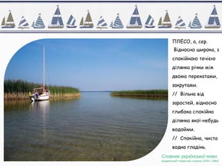 ПЛЕ́СО, а, сер.
Відносно широка, з
спокійною течією
ділянка річки між
двома перекатами,
закрутами.
// Вільна від
заростей, відносно
глибока спокійна
ділянка якої-небудь
водойми.
// Спокійна, чиста
водна гладінь.
 