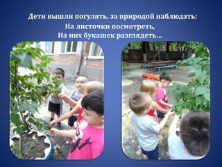 Дети вышли погулять, за природой наблюдать:
На листочки посмотреть,
На них букашек разглядеть…
 