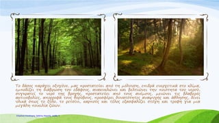 Το δάσος παράγει οξυγόνο, μας προστατεύει από τη μόλυνση, επιδρά ευεργετικά στο κλίμα,
εμποδίζει τη διάβρωση του εδάφους, ανακυκλώνει και βελτιώνει την ποιότητα του νερού,
συγκρατεί το νερό της βροχής, προστατεύει από τους ανέμους, μειώνει τις βλαβερές
ακτινοβολίες, απορροφά τους θορύβους, προσφέρει δυνατότητες αναψυχής και άθλησης, δίνει
υλικά όπως το ξύλο, το ρετσίνι, καρπούς και τέλος εξασφαλίζει στέγη και τροφή για μια
μεγάλη ποικιλία ζώων.
Επιμέλεια επανάληψης: Χρήστος Χαρμπής σελίδαΕπιμέλεια επανάληψης: Χρήστος Χαρμπής σελίδα 5
 