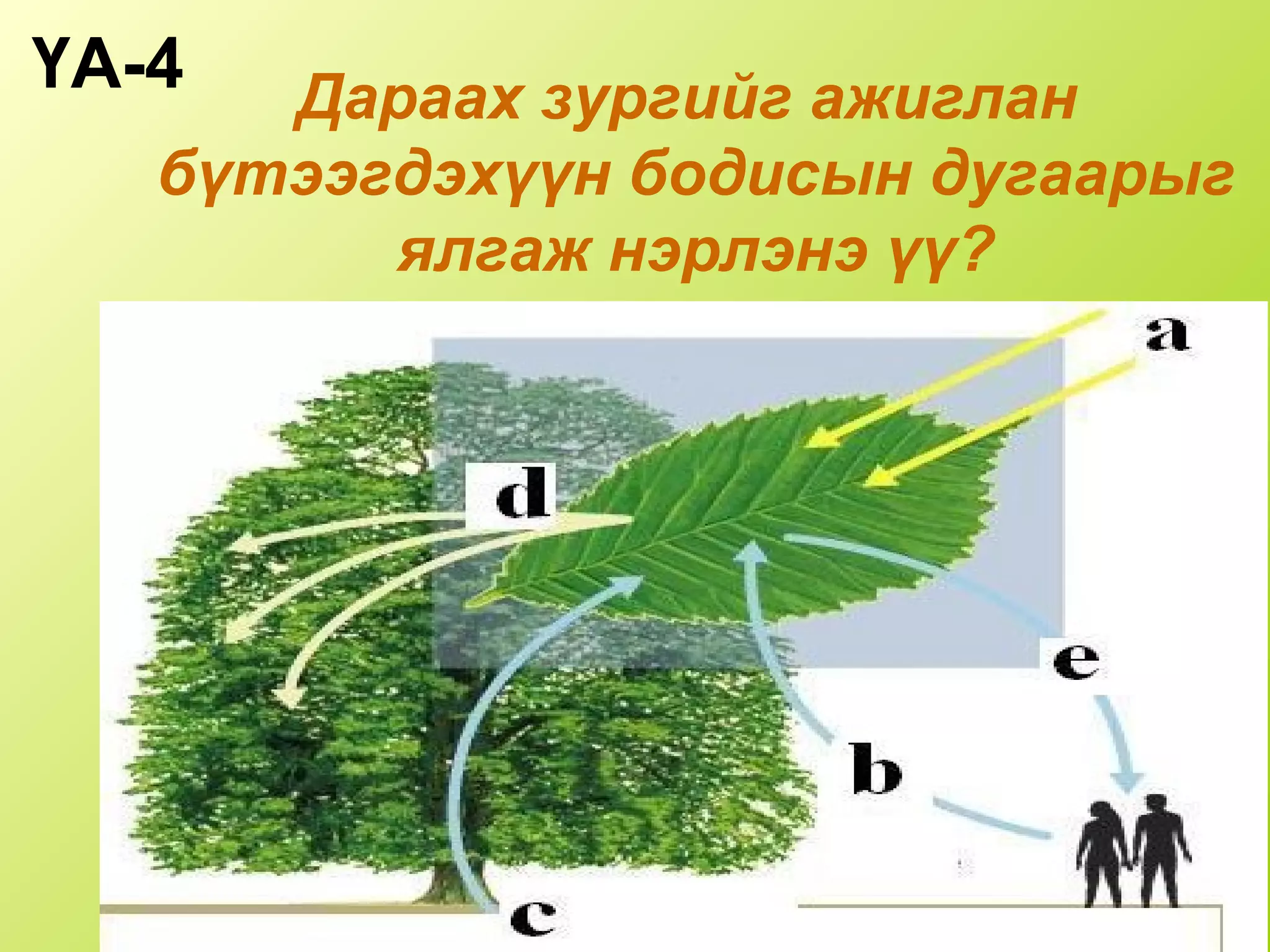 Дараах зургийг ажиглан
бүтээгдэхүүн бодисын дугаарыг
ялгаж нэрлэнэ үү?
ҮА-4
 