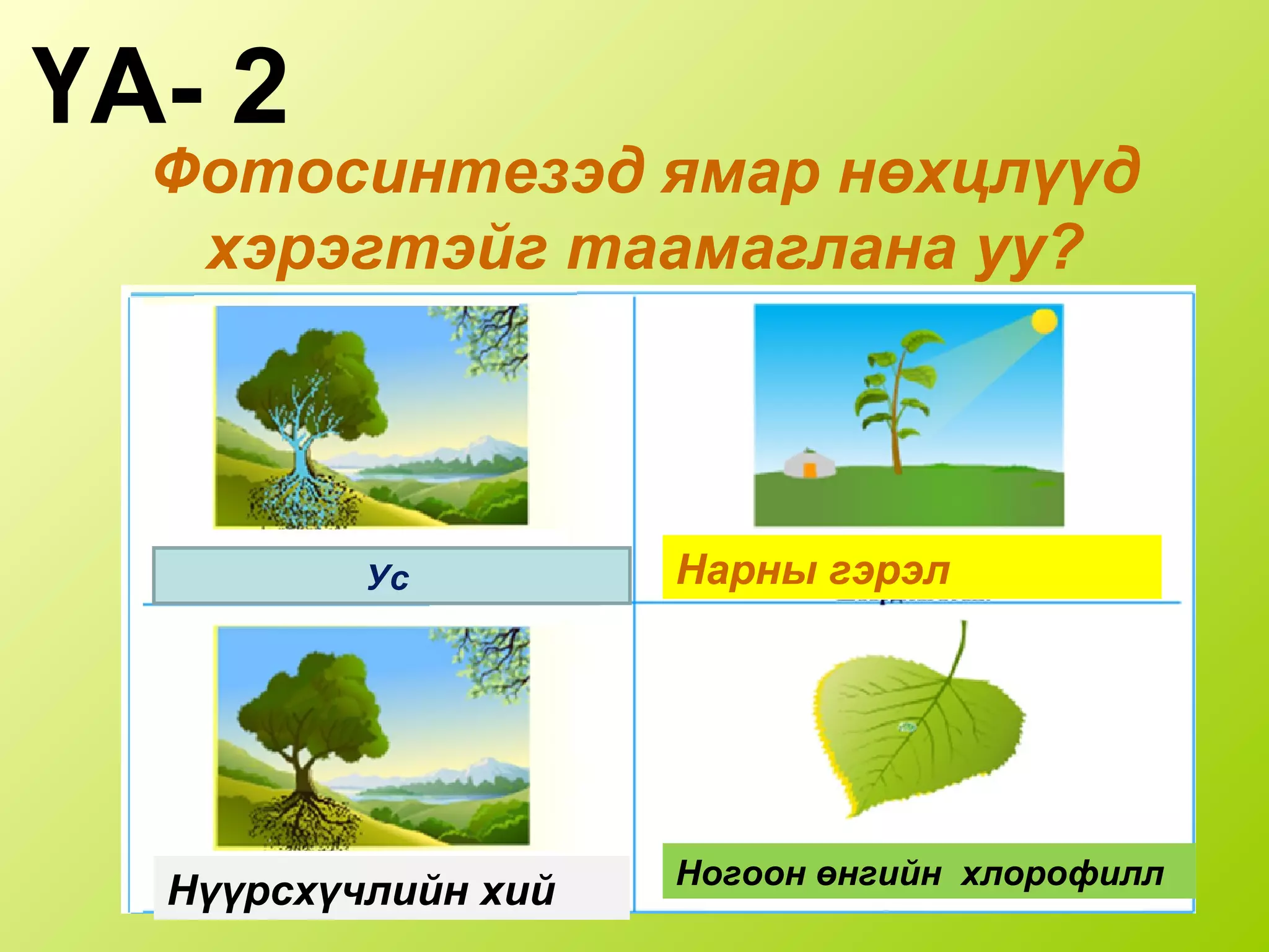 Фотосинтезэд ямар нөхцлүүд
хэрэгтэйг таамаглана уу?
ҮА- 2
Ус Нарны гэрэл
Ногоон өнгийн хлорофилл
Нүүрсхүчлийн хий
 