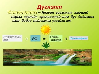 фотосинтез | PPT