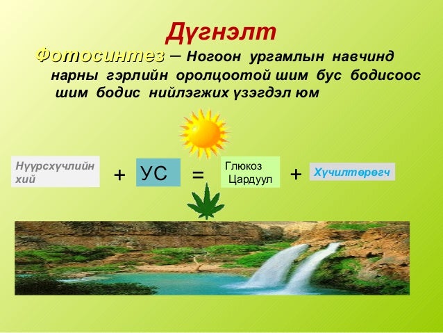 фотосинтез