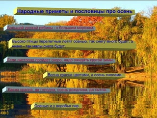 Народные приметы и пословицы про осень
Большой урожай рябины - к большим морозам.
Высоко птицы перелетные летят осенью, так снегу много будет, а
низко - так малы снега будут.
Если листопад пройдет скоро, надо ожидать крутой зимы.
Весна красна цветами, а осень снопами.
Весна красна, да голодна, осень дождлива, да сытна.
Осенью и у воробья пир.
 