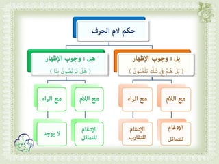 أحكام ( النون الساكنة و التنوين , الميم الساكنة , اللامات السواكن , المدود ) مع الدليل من التحفة و الجزرية  