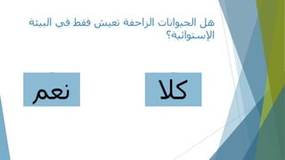 ‫البي‬ ‫في‬ ‫فقط‬ ‫تعيش‬ ‫الزاحفة‬ ‫الحيوانات‬ ‫هل‬‫ئة‬
‫اإلستوائية؟‬
‫كال‬‫نعم‬
 