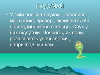 ПОДУМАЙПОДУМАЙ
• У змій повіки нерухомі, зрослися
між собою, прозорі, вкривають очі
ніби годинникове скельце. Слух у
них відсутній. Поясніть, як вони
розпізнають уночі здобич,
наприклад, мишей.
 