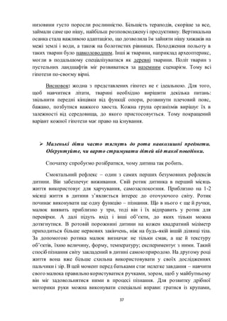 37
низовини густо поросли рослинністю. Більшість тераподів, скоріше за все,
займали саме цю нішу, найбільш розповсюдженуі продуктивну. Вертикальна
осанка стала важливою адаптацією, що дозволила їм зайняти нішу хижаків на
межі землі і води, а також на болотистих рівнинах. Походження польоту в
таких тварин було навколоводним. Інші ж тварини, наприклад археоптерикс,
могли в подальшому спеціалізуватися як деревні тварини. Політ тварин з
пустельних ландшафтів міг розвиватися за наземним сценарієм. Тому всі
гіпотези по-своєму вірні.
Висновок: жодна з представлених гіпотез не є ідеальною. Для того,
щоб навчитися літати, тварині необхідно вирішити декілька питань:
звільнити передні кінцівки від функції опори, розвинути плечовий пояс,
бажано, позбутися важкого хвоста. Кожна група організмів вирішує їх в
залежності від середовища, до якого пристосовується. Тому покращений
варіант кожної гіпотези має право на існування.
 Маленькі діти часто тягнуть до рота навколишні предмети.
Обґрунтуйте, чи варто стримувати дітей від такої поведінки.
Спочатку спробуємо розібратися, чому дитина так робить.
Смоктальний рефлекс – один з самих перших безумовних рефлексів
дитини. Він забезпечує виживання. Свій ротик дитинка в перший місяць
життя використовує для харчування, самозаспокоєння. Приблизно на 1-2
місяці життя в дитини з’являється інтерес до оточуючого світу. Ротик
починає виконувати ще одну функцію – пізнання. Що в нього є ще й ручки,
малюк виявить приблизно у три, тоді він і їх відправить у ротик для
перевірки. А далі підуть вхід і інші об’єкти, до яких тільки можна
дотягнутися. В ротовій порожнині дитини на кожен квадратний міліметр
приходиться більше нервових закінчень, ніж на будь-якій іншій ділянці тіла.
За допомогою ротика малюк визначає не тільки смак, а ще й текстуру
об’єктів, їхню величину, форму, температуру; експериментує з ними. Такий
спосіб пізнання світу закладений в дитині самою природою. На другому році
життя вона вже більше схильна використовувати у своїх дослідженнях
пальчики і зір. В цей момент перед батьками стає нелегке завдання – навчити
свого малюка правильно користуватися ручками, зором, щоб у майбутньому
він міг задовольнятися ними в процесі пізнання. Для розвитку дрібної
моторики руки можна виконувати спеціальні вправи: гратися із крупами,
 