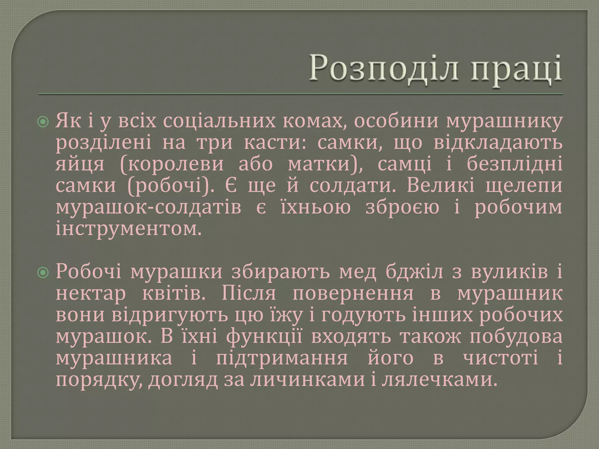  Як і у всіх соціальних комах, особини мурашнику
розділені на три касти: самки, що відкладають
яйця (королеви або матки), самці і безплідні
самки (робочі). Є ще й солдати. Великі щелепи
мурашок-солдатів є їхньою зброєю і робочим
інструментом.
 Робочі мурашки збирають мед бджіл з вуликів і
нектар квітів. Після повернення в мурашник
вони відригують цю їжу і годують інших робочих
мурашок. В їхні функції входять також побудова
мурашника і підтримання його в чистоті і
порядку, догляд за личинками і лялечками.
 