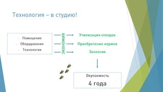 Корма из насекомых - из прошлого в будущее