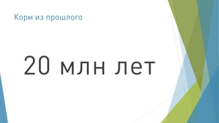 Корма из насекомых - из прошлого в будущее