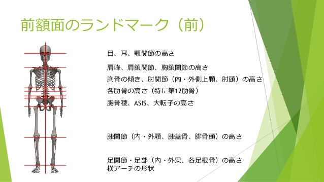 第1回 姿勢・動作分析の基礎と触診