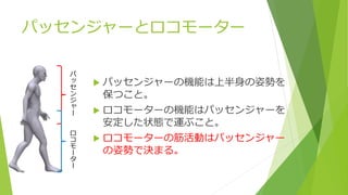 パッセンジャーとロコモーター
 パッセンジャーの機能は上半身の姿勢を
保つこと。
 ロコモーターの機能はパッセンジャーを
安定した状態で運ぶこと。
 ロコモーターの筋活動はパッセンジャー
の姿勢で決まる。
パ
ッ
セ
ン
ジ
ャ
ー
ロ
コ
モ
ー
タ
ー
 