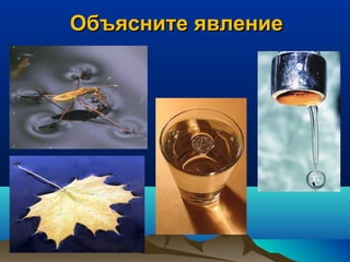 Объясните явлениеОбъясните явление
 