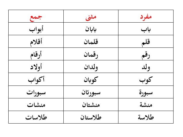 اللـــــــغة العــربـــــــية / Mari Belajar Bahasa Arab