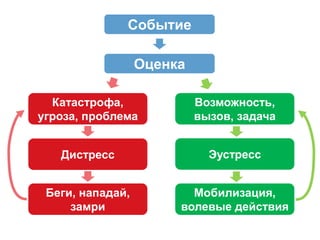 21
Событие
Оценка
Катастрофа,
угроза, проблема
Возможность,
вызов, задача
Дистресс
Беги, нападай,
замри
Мобилизация,
волевые действия
Эустресс
 