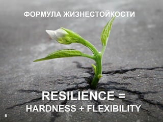 6
ФОРМУЛА ЖИЗНЕСТОЙКОСТИ
RESILIENCE =
HARDNESS + FLEXIBILITY
 
