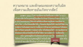 ความหมาย และลักษณะของความรับผิด
เพื่อความเสียหายอันเกิดจากสัตว์
มาตรา ๔๒๐ ผู้ใดจงใจหรือประมาทเลินเล่อ ทำต่อ
บุคคลอื่นโดยผิดกฎหมายให้เขาเสียหายถึงแก่ชีวิตก็ดี
แก่ร่างกายก็ดี อนามัยก็ดี เสรีภาพก็ดี ทรัพย์สินหรือสิทธิ
อย่างหนึ่งอย่างใดก็ดี ท่านว่าผู้นั้นทำละเมิดจำต้องใช้ค่า
สินไหมทดแทนเพื่อการนั้น
มาตรา ๔๓๓ ถ้าความเสียหายเกิดขึ้นเพราะสัตว์ ท่านว่า
เจ้าของสัตว์หรือบุคคลผู้รับเลี้ยงรับรักษาไว้แทนเจ้าของจำต้องใช้
ค่าสินไหมทดแทนให้แก่ฝ่ายที่ต้องเสียหายเพื่อความเสียหาย
อย่างใด ๆ อันเกิดแต่สัตว์นั้น เว้นแต่จะพิสูจน์ได้ว่าตนได้ใช้ความ
ระมัดระวังอันสมควรแก่การเลี้ยงการรักษาตามชนิดและวิสัยของ
สัตว์ หรือตามพฤติการณ์อย่างอื่น หรือพิสูจน์ได้ว่าความเสียหาย
นั้นย่อมจะต้องเกิดมีขึ้นทั้งที่ได้ใช้ความระมัดระวังถึงเพียงนั้น
อนึ่ง บุคคลผู้ต้องรับผิดชอบดังกล่าวมาในวรรคต้นนั้น จะ
ใช้สิทธิไล่เบี้ยเอาแก่บุคคลผู้ที่เร้าหรือยั่วสัตว์นั้นโดยละเมิด หรือ
เอาแก่เจ้าของสัตว์อื่นอันมาเร้าหรือยั่วสัตว์นั้น ๆ ก็ได้
 