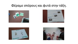 Φέραμε σπόρους και φυτά στην τάξη.
 
