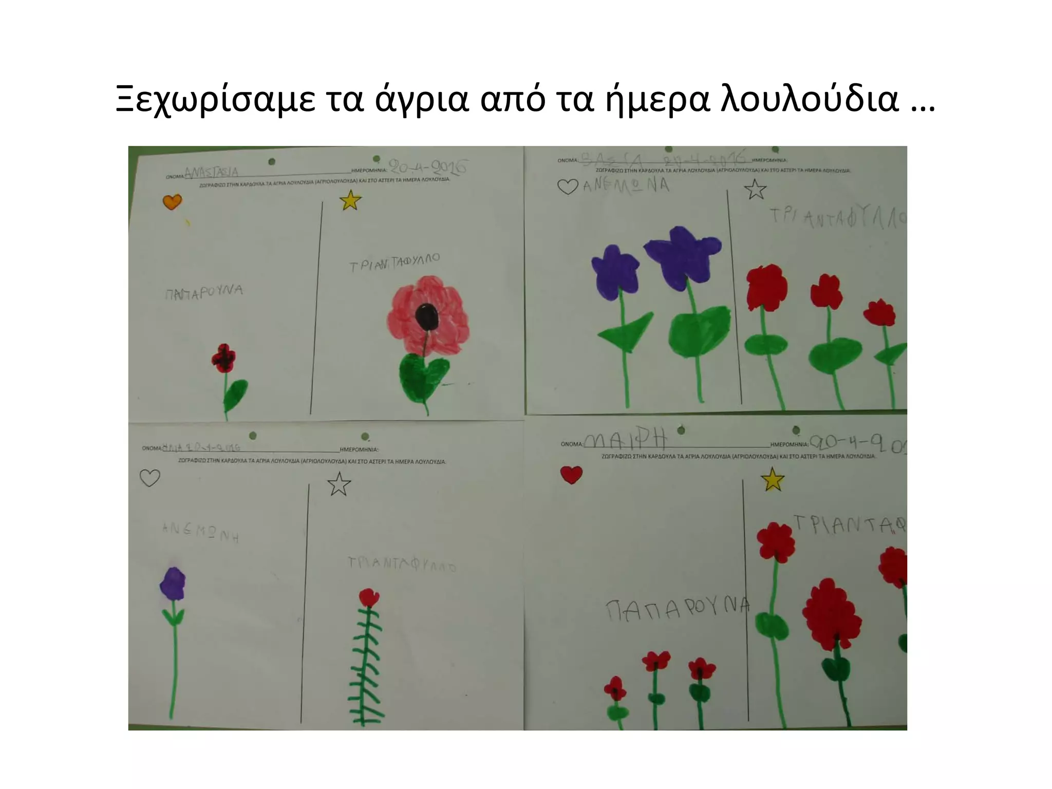 Ξεχωρίσαμε τα άγρια από τα ήμερα λουλούδια …
 