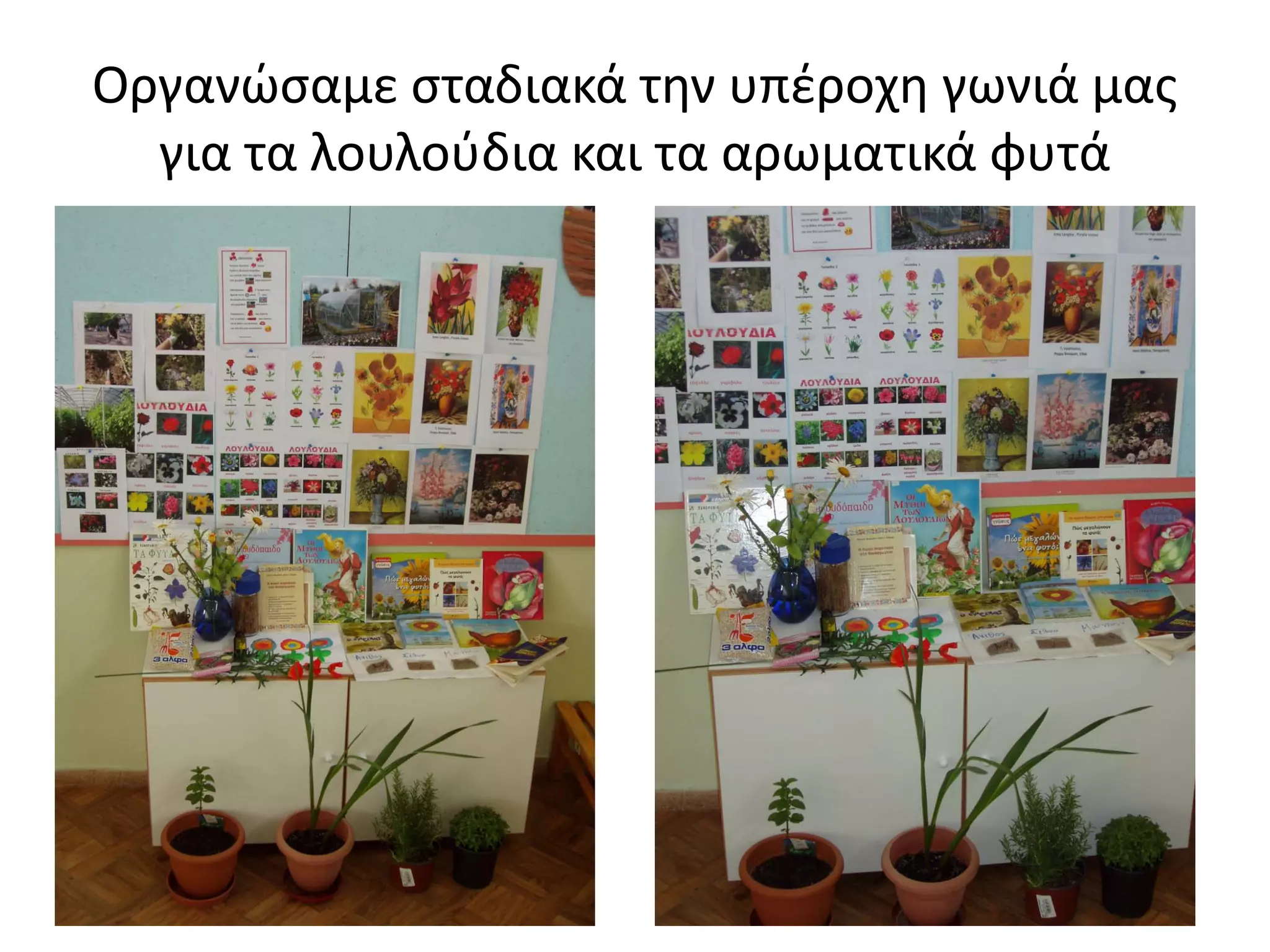 Οργανώσαμε σταδιακά την υπέροχη γωνιά μας
για τα λουλούδια και τα αρωματικά φυτά
 
