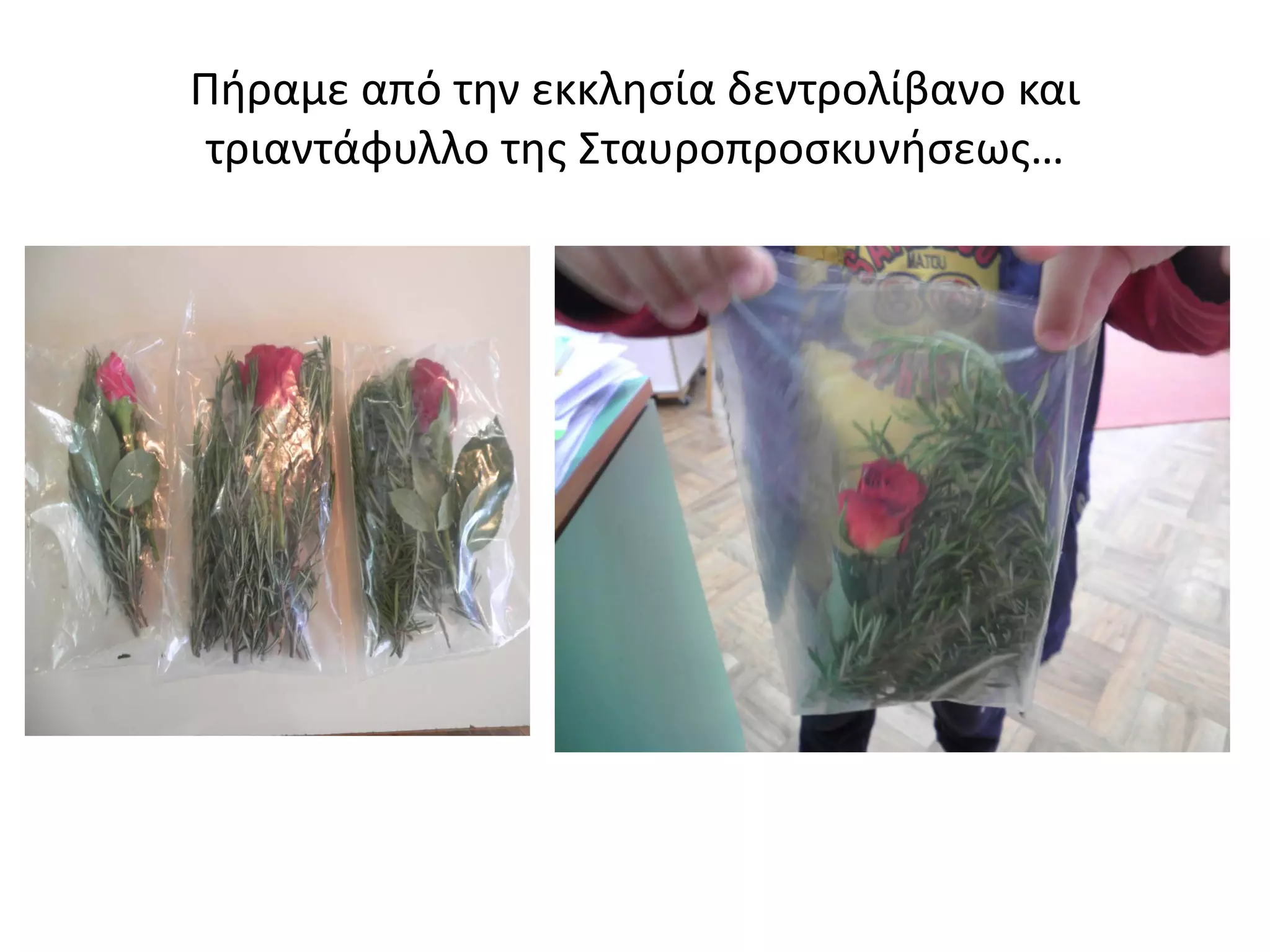 Πήραμε από την εκκλησία δεντρολίβανο και
τριαντάφυλλο της Σταυροπροσκυνήσεως…
 