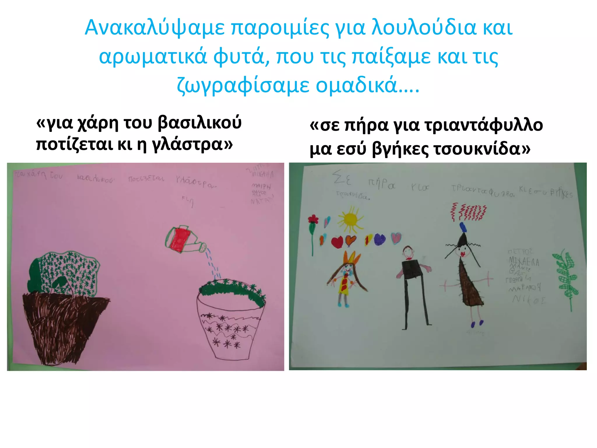 Ανακαλύψαμε παροιμίες για λουλούδια και
αρωματικά φυτά, που τις παίξαμε και τις
ζωγραφίσαμε ομαδικά….
«για χάρη του βασιλικού
ποτίζεται κι η γλάστρα»
«σε πήρα για τριαντάφυλλο
μα εσύ βγήκες τσουκνίδα»
 