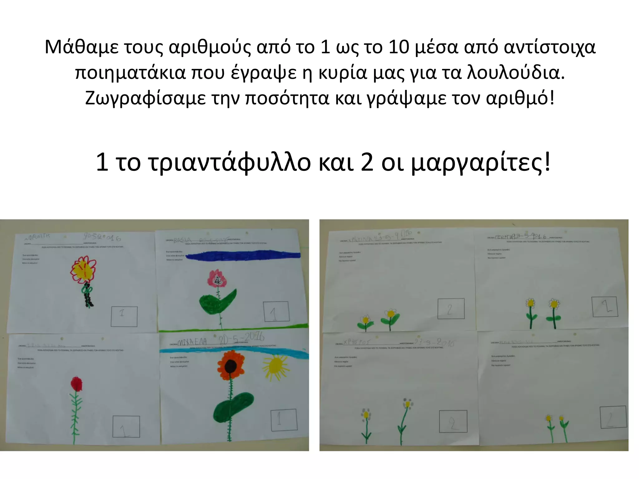 Μάθαμε τους αριθμούς από το 1 ως το 10 μέσα από αντίστοιχα
ποιηματάκια που έγραψε η κυρία μας για τα λουλούδια.
Ζωγραφίσαμε την ποσότητα και γράψαμε τον αριθμό!
1 το τριαντάφυλλο και 2 οι μαργαρίτες!
 