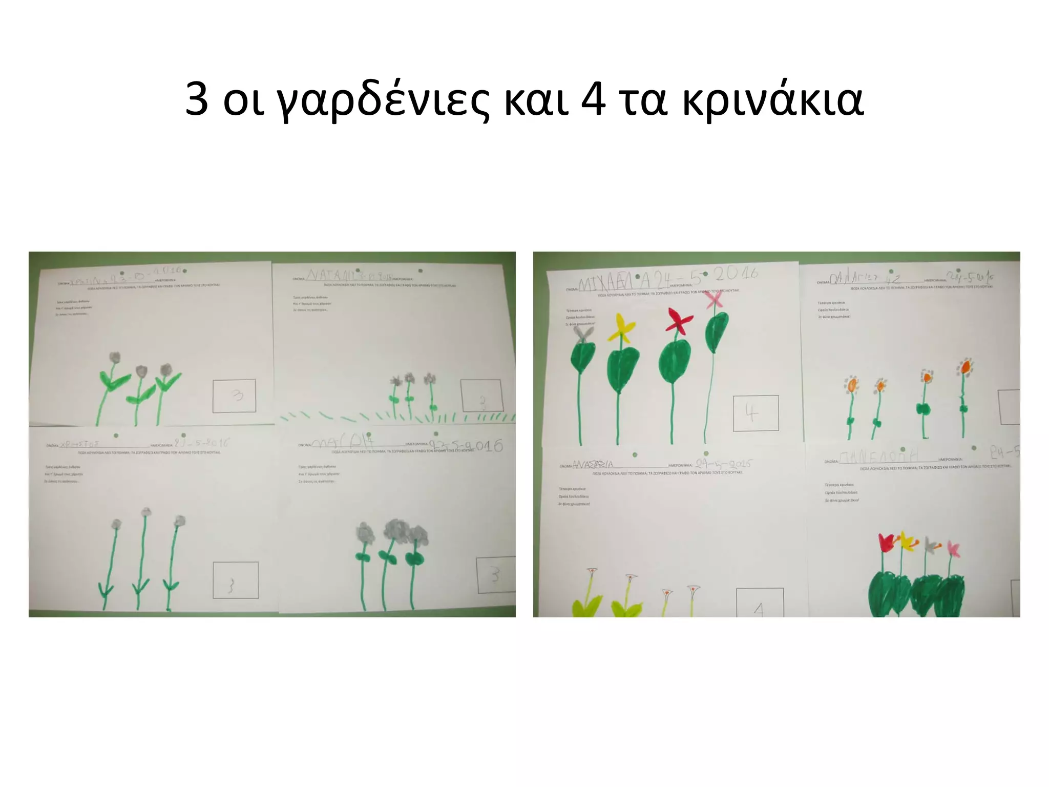 3 οι γαρδένιες και 4 τα κρινάκια
 