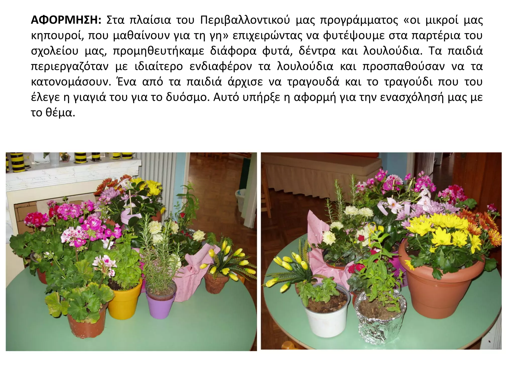 ΑΦΟΡΜΗΣΗ: Στα πλαίσια του Περιβαλλοντικού μας προγράμματος «οι μικροί μας
κηπουροί, που μαθαίνουν για τη γη» επιχειρώντας να φυτέψουμε στα παρτέρια του
σχολείου μας, προμηθευτήκαμε διάφορα φυτά, δέντρα και λουλούδια. Τα παιδιά
περιεργαζόταν με ιδιαίτερο ενδιαφέρον τα λουλούδια και προσπαθούσαν να τα
κατονομάσουν. Ένα από τα παιδιά άρχισε να τραγουδά και το τραγούδι που του
έλεγε η γιαγιά του για το δυόσμο. Αυτό υπήρξε η αφορμή για την ενασχόλησή μας με
το θέμα.
 