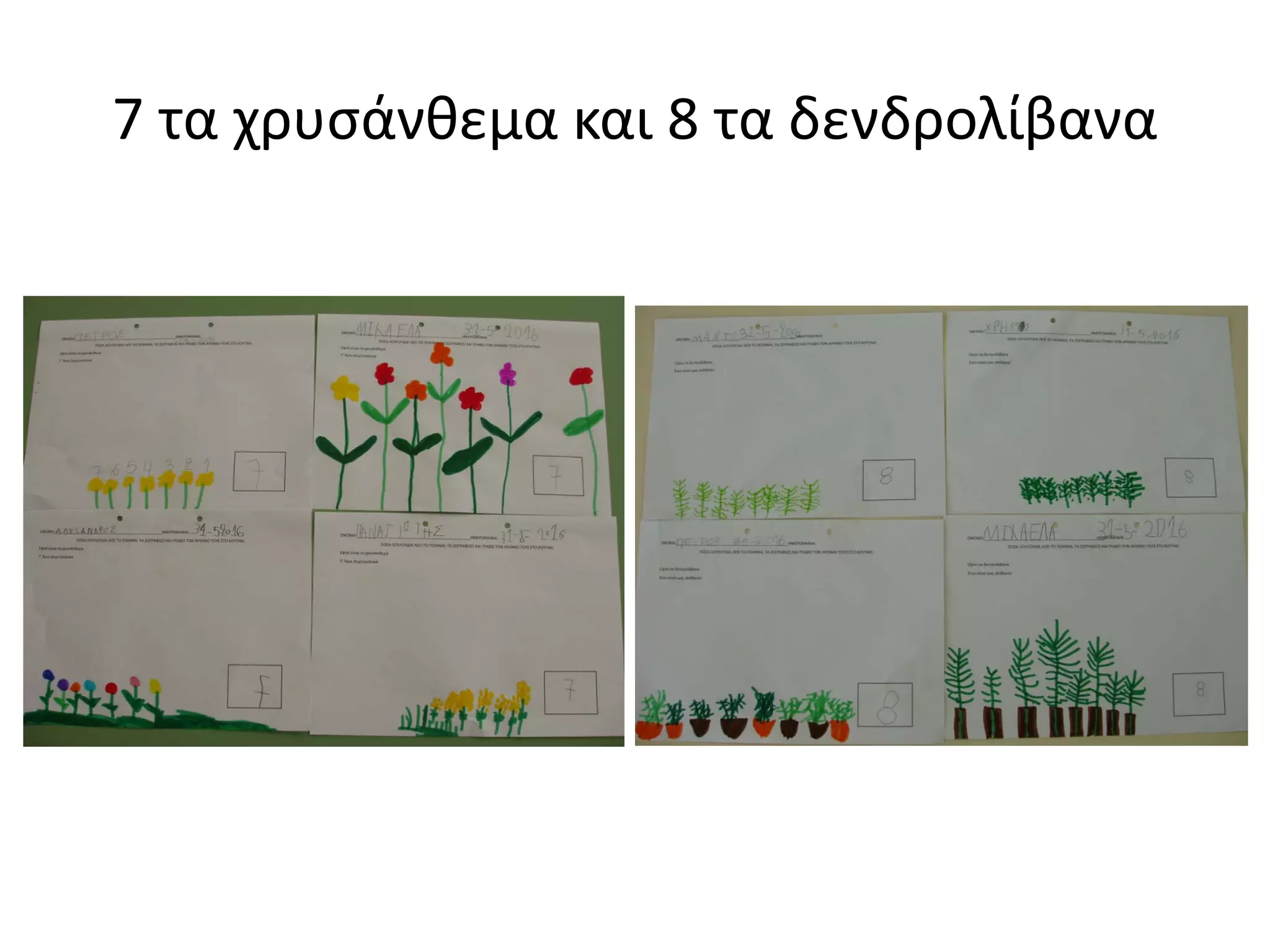 7 τα χρυσάνθεμα και 8 τα δενδρολίβανα
 