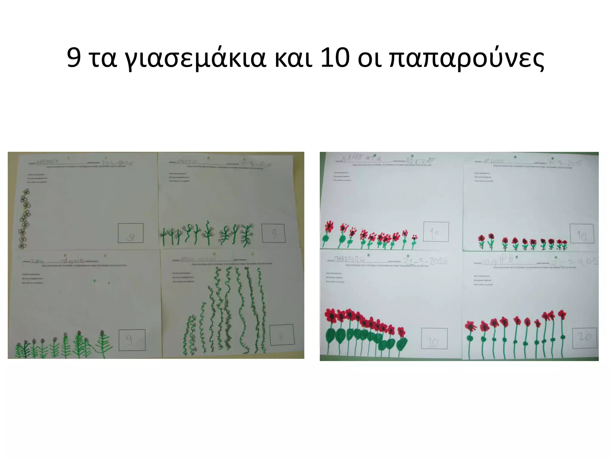 9 τα γιασεμάκια και 10 οι παπαρούνες
 