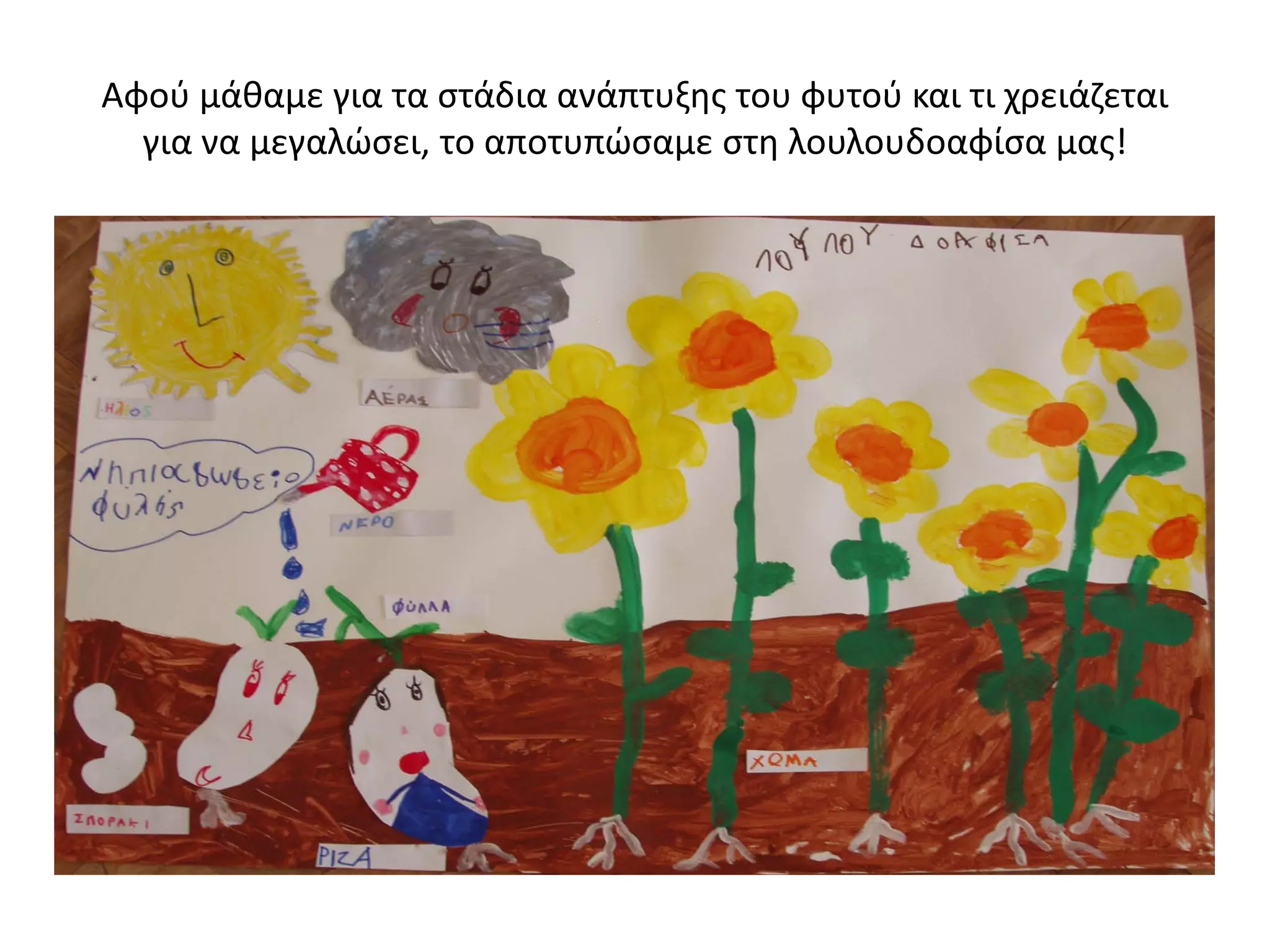 Αφού μάθαμε για τα στάδια ανάπτυξης του φυτού και τι χρειάζεται
για να μεγαλώσει, το αποτυπώσαμε στη λουλουδοαφίσα μας!
 