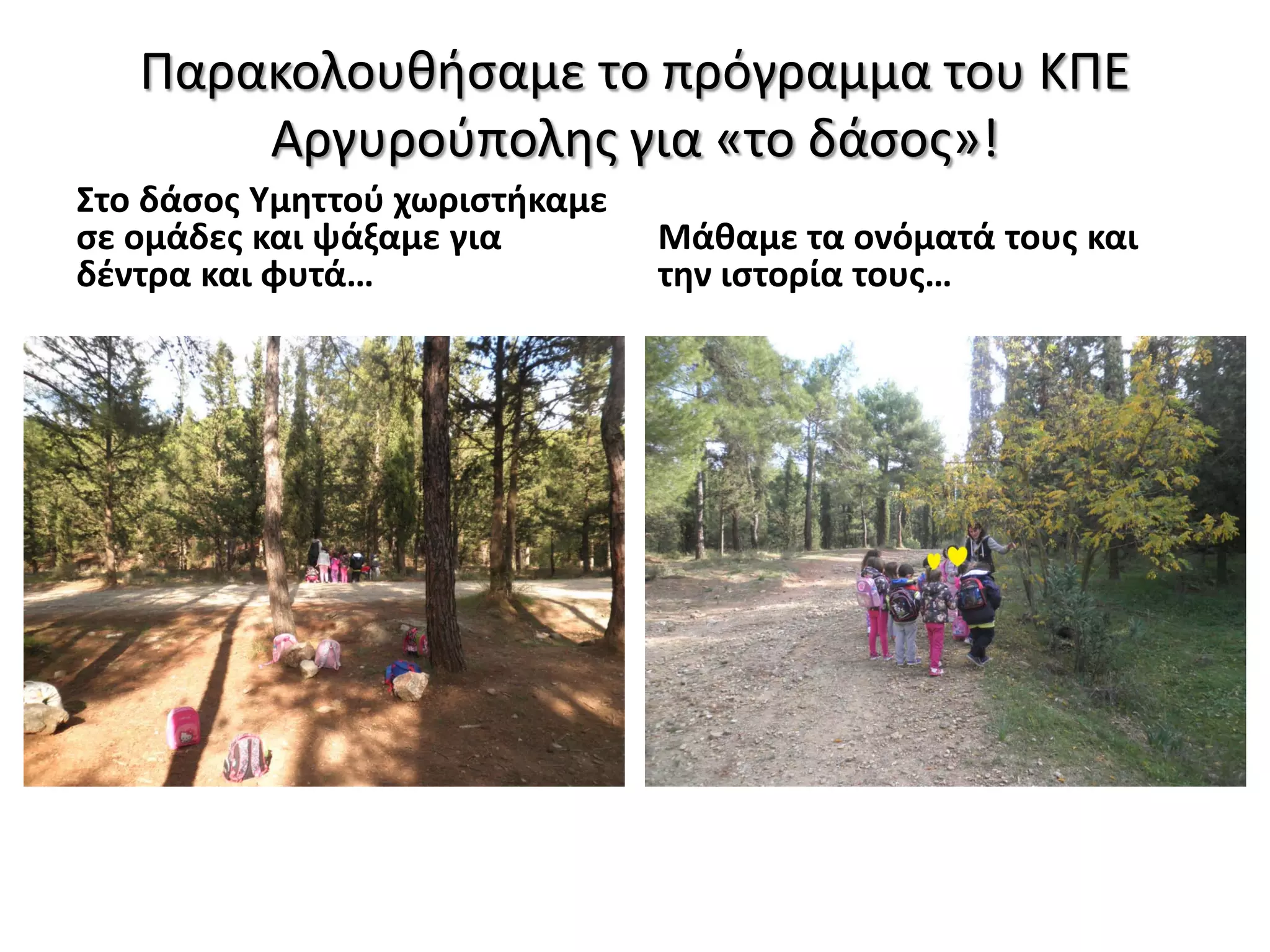 Παρακολουθήσαμε το πρόγραμμα του ΚΠΕ
Αργυρούπολης για «το δάσος»!
Στο δάσος Υμηττού χωριστήκαμε
σε ομάδες και ψάξαμε για
δέντρα και φυτά…
Μάθαμε τα ονόματά τους και
την ιστορία τους…
 