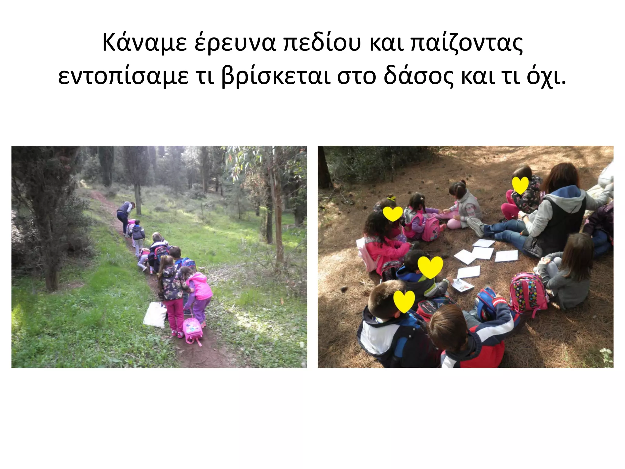 Κάναμε έρευνα πεδίου και παίζοντας
εντοπίσαμε τι βρίσκεται στο δάσος και τι όχι.
 