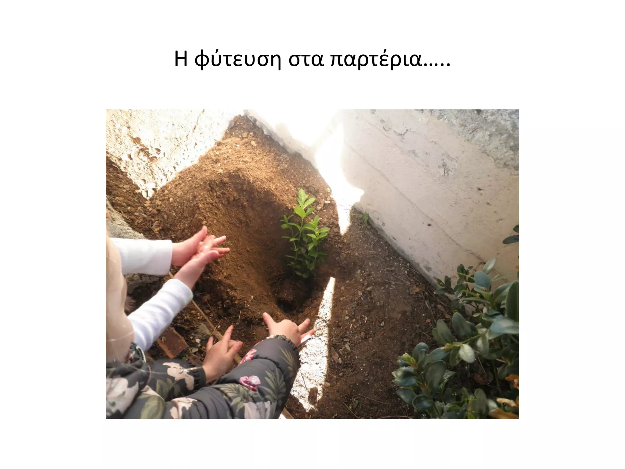 Η φύτευση στα παρτέρια…..
 