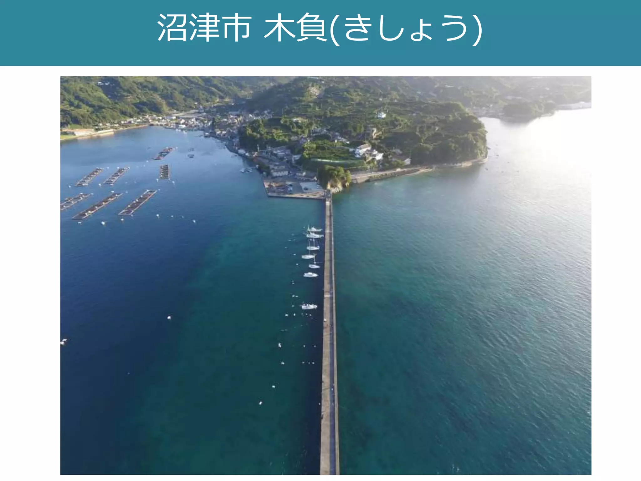 沼津市 木負(きしょう)
 