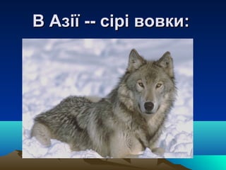 3-ppt