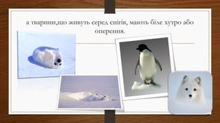 а тварини,що живуть серед снігів, мають біле хутро або
оперення.
 