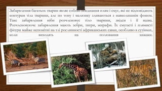Забарвлення багатьох тварин являє собою поєднання плям і смуг, які не відповідають
контурам тіла тварини, але по тону і малюнку зливаються з навколишнім фоном.
Таке забарвлення ніби розчленовує тіло тварини, звідси і її назва.
Розчленовуюче забарвлення мають зебри, тигри, жирафи. Їх смугасті і плямисті
фігури майже непомітні на тлі рослинності африканських саван, особливо в сутінках,
коли виходять на полювання хижаки.
 