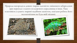 Природа нагородила деяких тварин здатністю змінювати забарвлення
при переході з одного кольорового середовища в інше. Така
властивість служить тварині надійним захистом, оскільки робить його
малопомітним на будь-якій місцині.
 