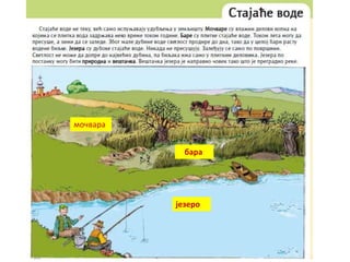 мочвара
бара
језеро
 